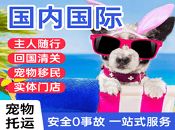 营口空运公司国际宠物托运 【国